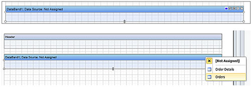 Stimulsoft Reports.Wpf，報表檢測器，數據源，訂單，修復報表