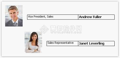 FastReport.NET報表控件使用教程 - 層次結構的打印