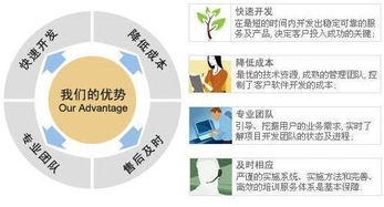 北京醫療軟件開發公司有那些